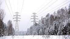 Masowa awaria prądu. Ponad 5,5 tys. odbiorców bez energii Masowa awaria prądu. Ponad 5,5 tys. odbiorców bez energii